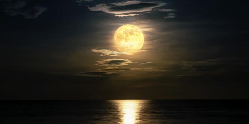 Celestial Elixirs: Exploring the Art of Moon Water Making